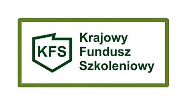 Kwota 566 900 zł została przyznana limitem na finansowanie innych fakultatywnych zadań. Tabela 53. Podział kwoty na zadania fakultatywne w 2017 r.