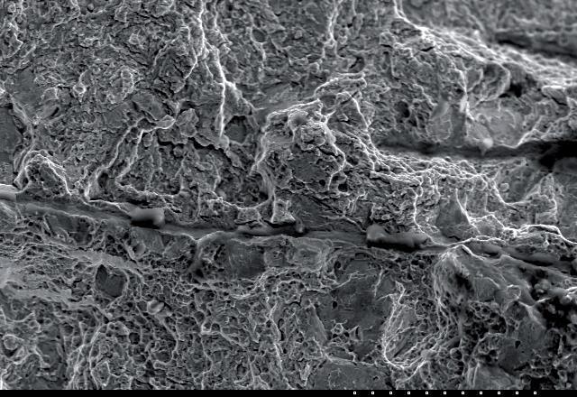50µm Rys. 16.
