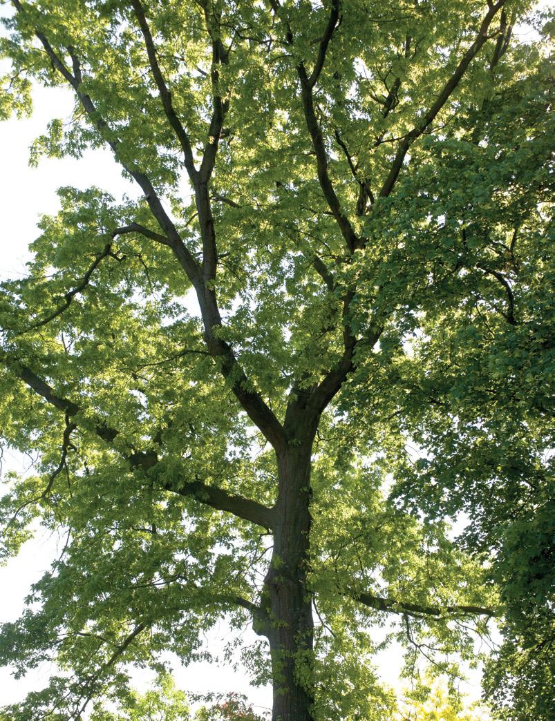 18 WENTYLACJA DYREKTYWA PARLAMENTU EUROPEJSKIEGO I RADY 2012/27/UE z dnia 25 października 2012 r.