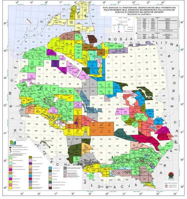 2013) Pas formacji łupkowych 10 największych graczy na rynku według powierzchni posiadanych koncesji* 12 000,0 10 000,0