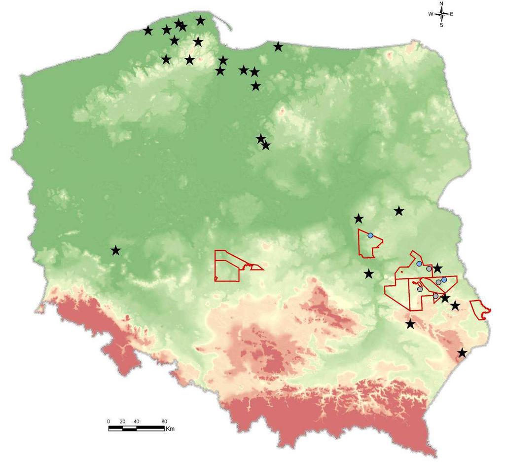 ORLEN LIDEREM POSZUKIWAŃ x Koncesje ORLEN Upstream na poszukiwanie i rozpoznawanie złóż węglowodorów niekonwencjonalnych Otwory wykonane pomiędzy 2008 a wrześniem 2013 BASEN BAŁTYCKI Odwierty pionowe