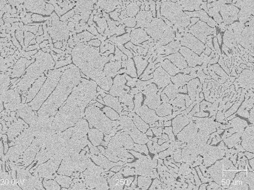 Microstructure of the non-etched specimens (BEC): (a) hypereutectic structure; (b) eutectic structure; (c) slightly hypoeutectic