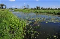 Metody ochrony przeciwpowodziowej Natura 2000 Długie odcinki naturalnych dolin rzecznych zostały włączone do Europejskiej Sieci Ekologicznej Natura 2000.