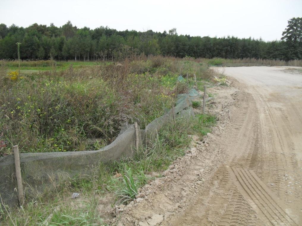 Fot3. Zniszczone płotki herpetologiczne w km 277+. Fot 4.