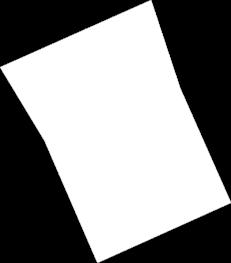C2, D3, OA2, system łączący Adper Single Bond 2