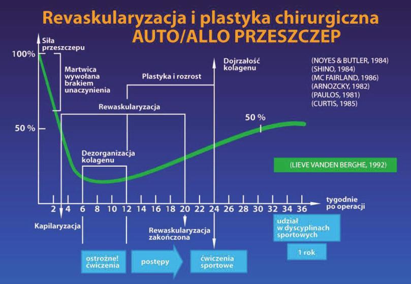 Badania przeprowadzone na tych grupach po 2 latach pokazały, iż uczestników grupy szybkiej cechowała znacznie większa wiotkość" stawu kolanowego niż w grupie wolniejszej (2.9+/-o.6 vs 1.4+/-o.