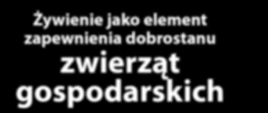 Żywienie jako element