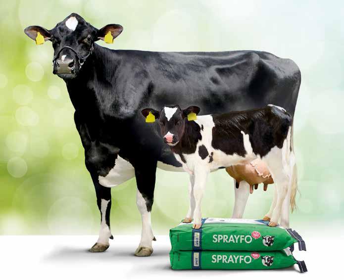 Zdrowa generacja Sprayfo Sprayfo - wsparcie dla zdrowia Sprayfo stworzone