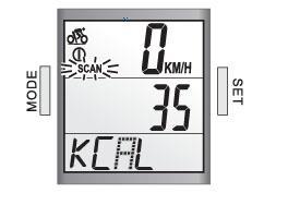 MXS, AVS, DST, ODO, do KCAL. Będzie automatycznie przełączać się z jednego trybu na inny co 4 sekundy.