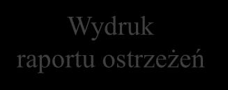 Analiza Wydruk raportu