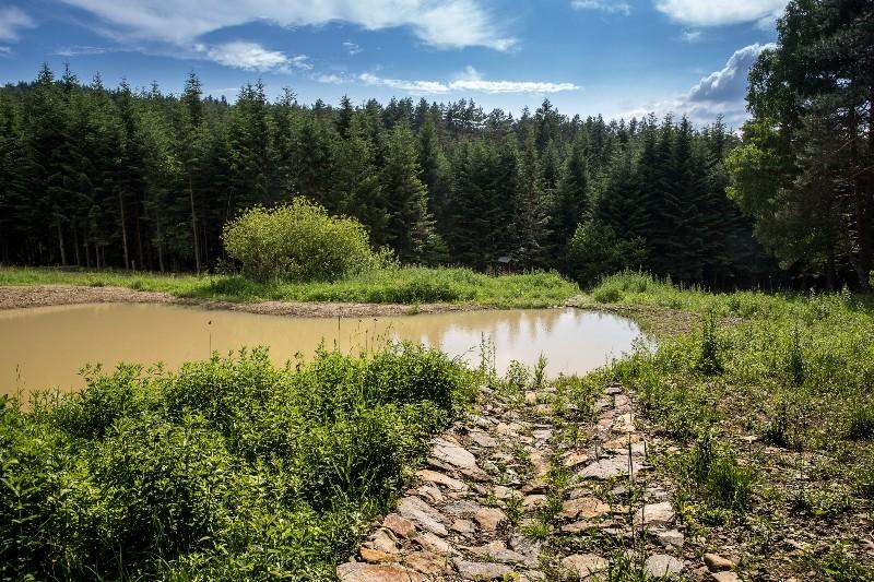 występująca w skałach podłoża, gdzie tworzą się zbiorniki wody podziemnej, które