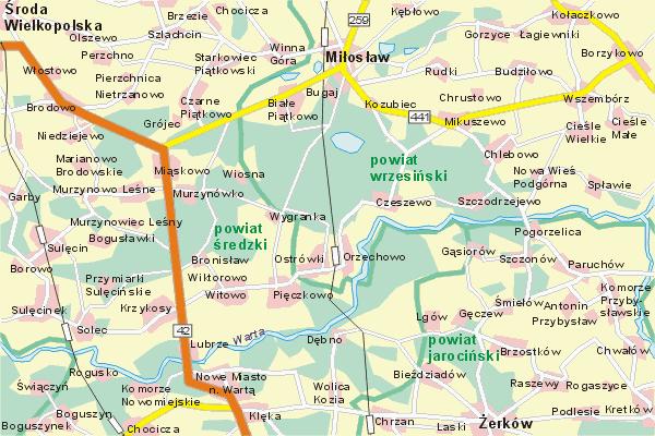 Kruczyn wieś w Polsce położona w województwie wielkopolskim, w powiecie średzkim, w gminie Nowe Miasto nad Wartą.