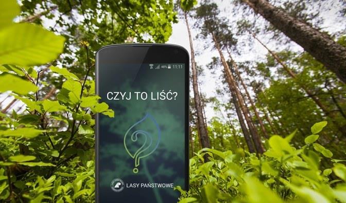 analizy wydrukowanych makiet liści i sklasyfikowad je do odpowiedniego drzewa.