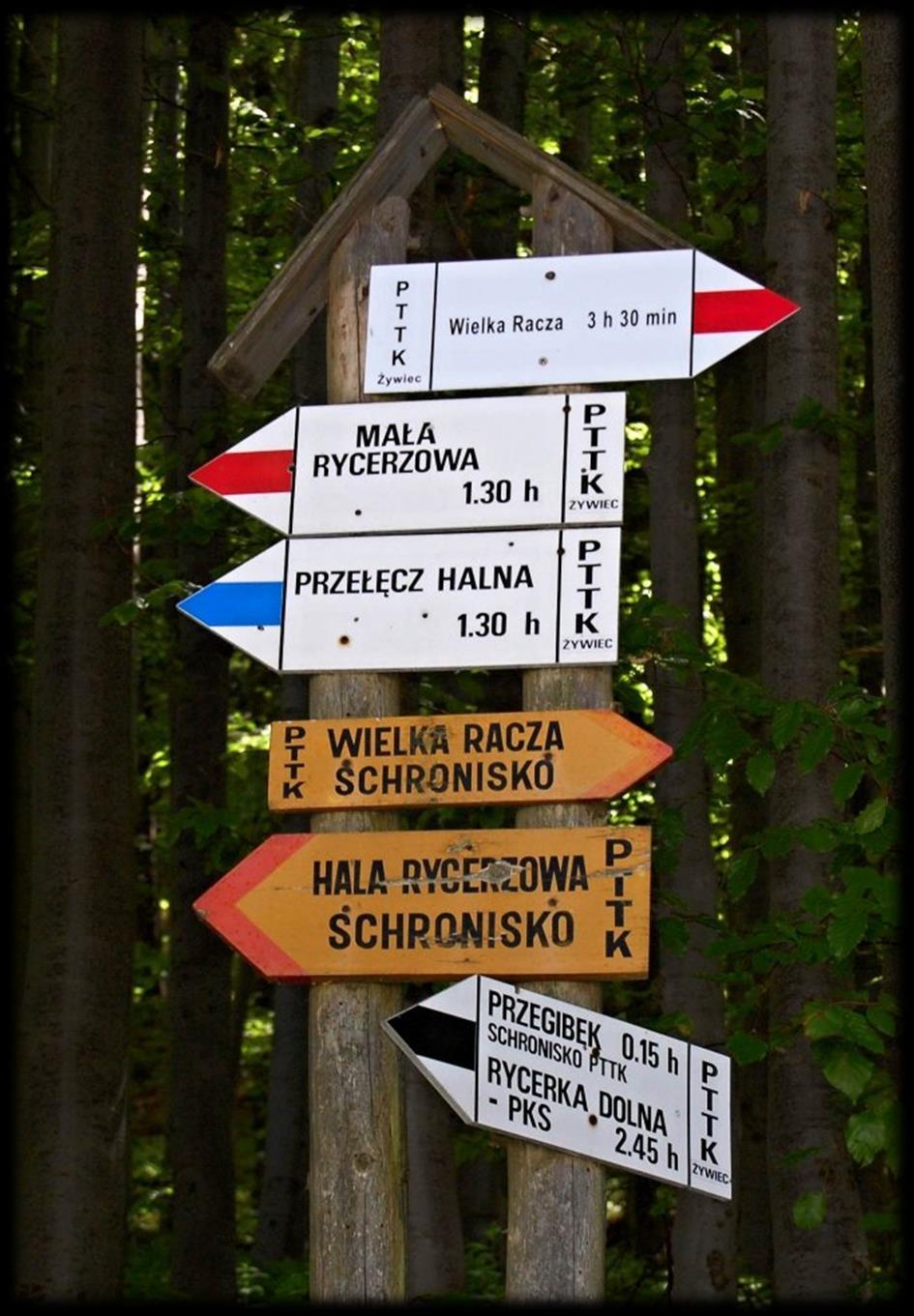 Zdjęcie ze strony