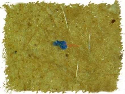 plastic film 1%