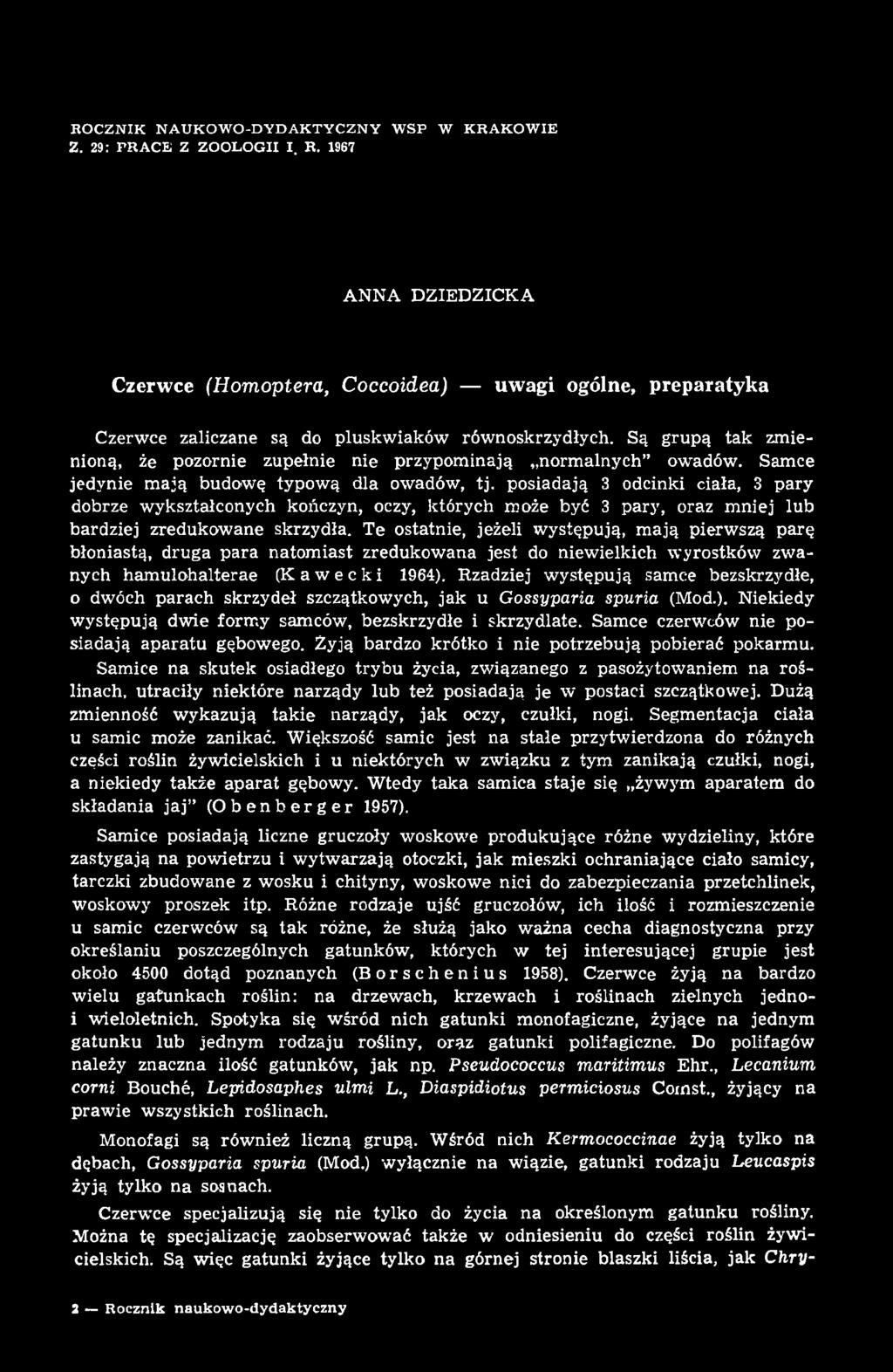 Rzadziej występują samce bezskrzydłe, 0 dwóch parach skrzydeł szczątkowych, jak u Gossyparia spuria (Mod.). Niekiedy występują dwie formy samców, bezskrzydłe i skrzydlate.