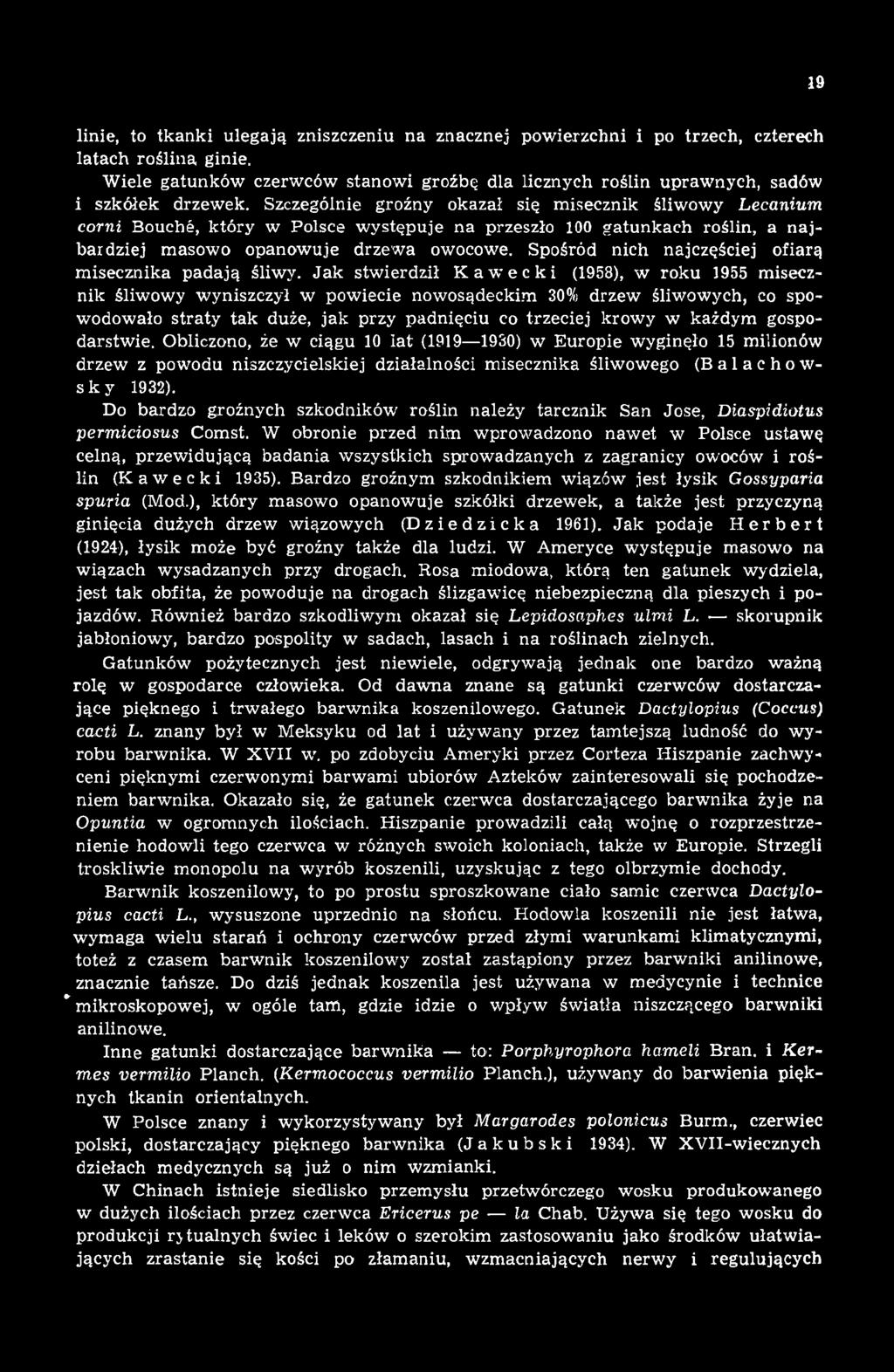 Jak stwierdził Kawecki (1958), w roku 1955 misecznik śliwowy wyniszczył w powiecie nowosądeckim 30% drzew śliwowych, co spowodowało straty tak duże, jak przy padnięciu co trzeciej krowy w każdym