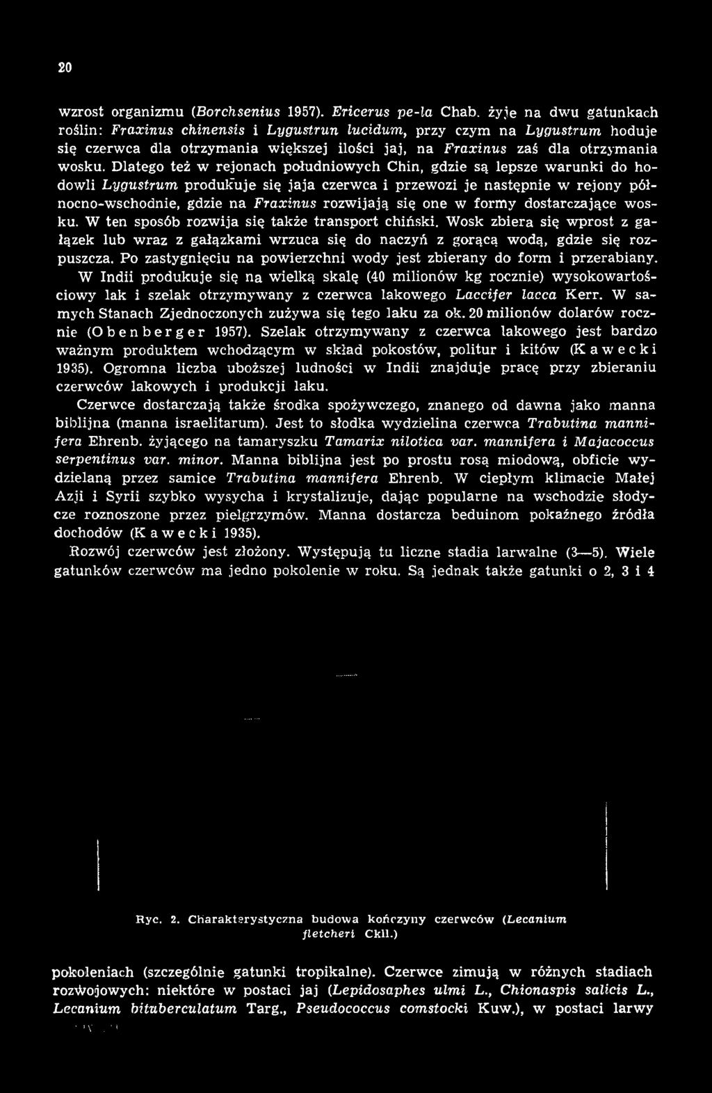 Po zastygnięciu na powierzchni wody jest zbierany do form i przerabiany.