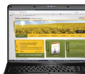 www.paszerzepakowe.pl www.srutarzepakowa.pl www.makuchrzepakowy.