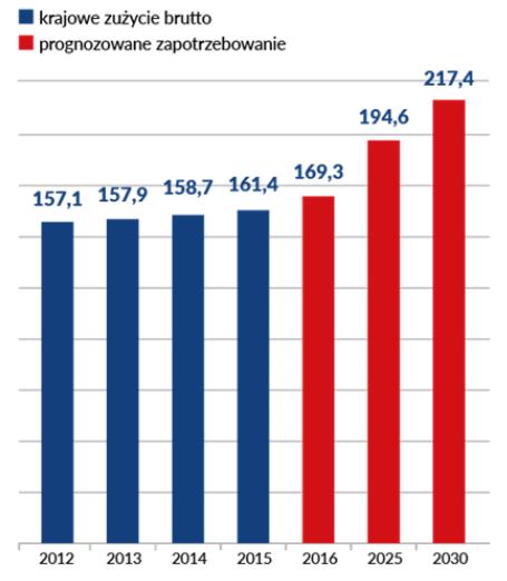 KOLEJNE LATA DALSZY WZROST RYNKU PALIW, GAZU I ENERGII ELEKTRYCZNEJ Scenariusze zapotrzebowania na paliwa ciekłe w Polsce* [w mln m 3 ] Zużycie gazu