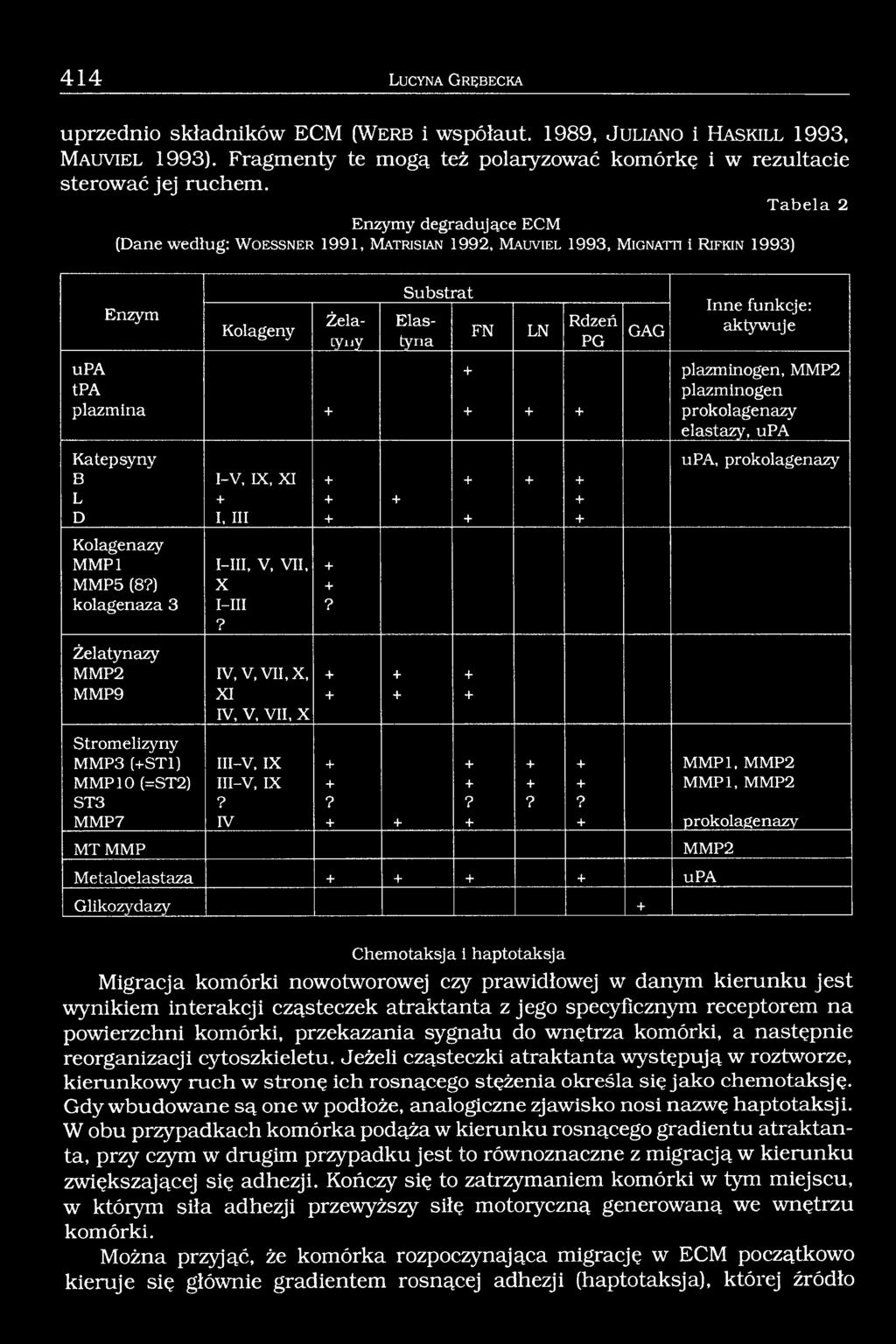 Tabela 2 Enzymy degradujące ECM (Dane według: W o e s s n e r 1991, M a tris ia n 1992, M a u v ie l 1993, M ig n a tti i R ifk in 1993) Enzym Kolageny Żela- TUY Substrat Elaslyna FN LN Rdzeń PG GAG