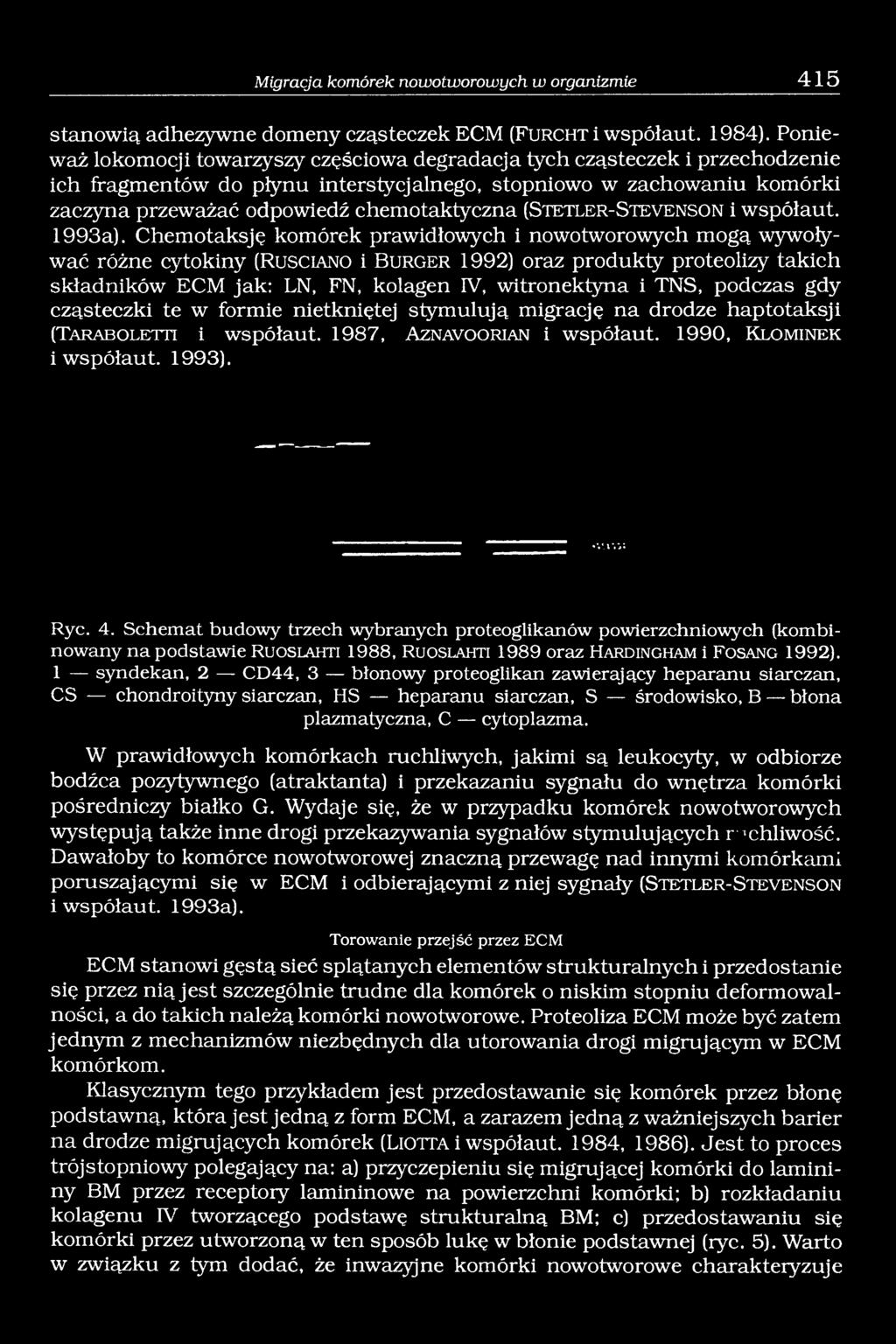 (S t e t le r - S t e v e n s o n i współaut. 1993a).