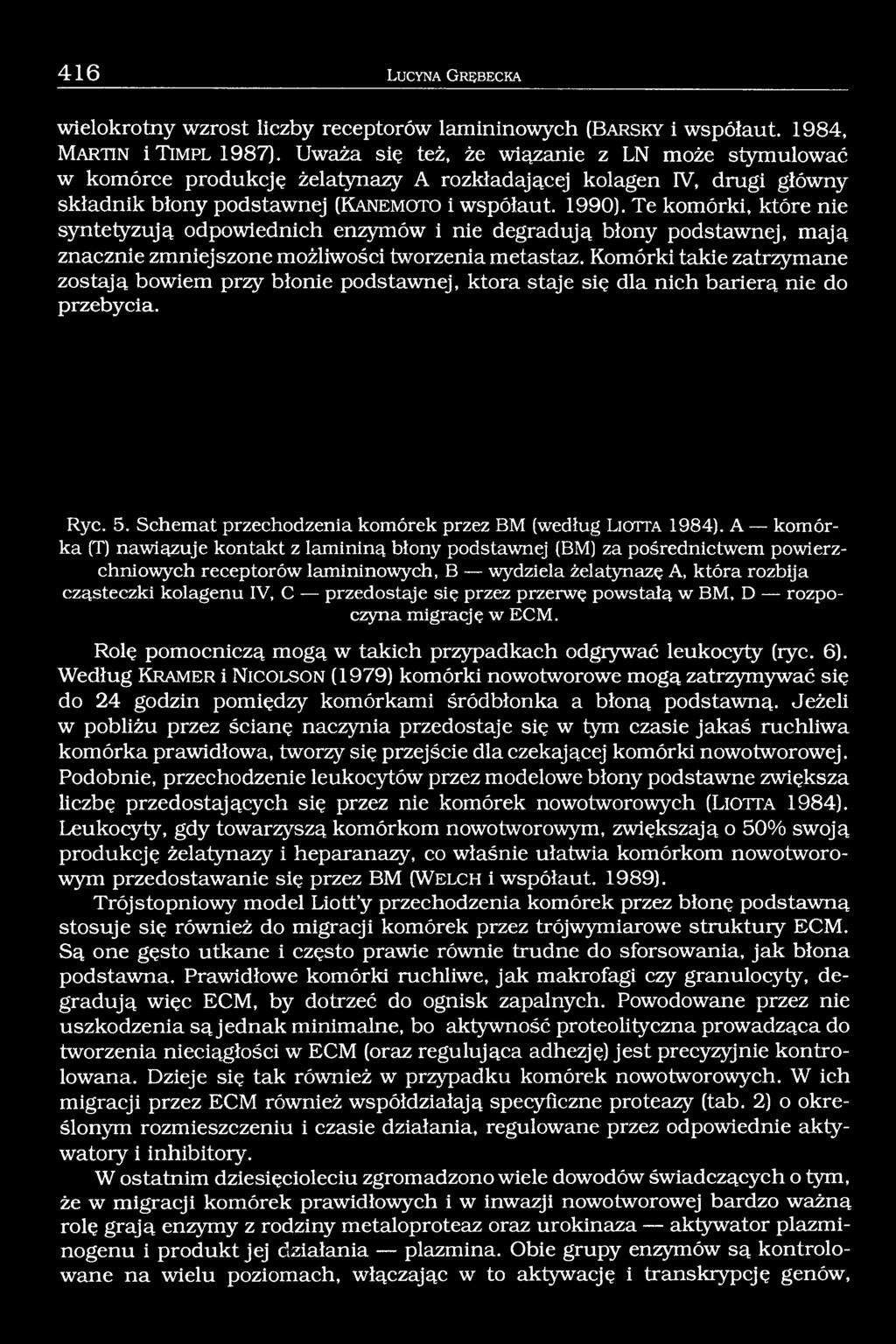 Te komórki, które nie syntetyzują odpowiednich enzymów i nie degradują błony podstawnej, mają znacznie zmniejszone możliwości tworzenia metastaz.