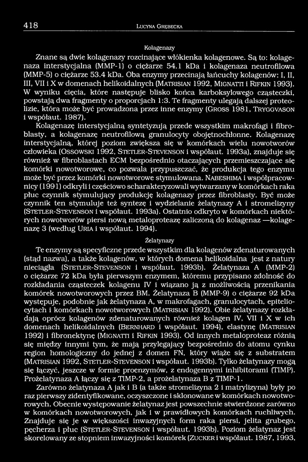 W wyniku cięcia, które następuje blisko końca karboksylowego cząsteczki, powstają dwa fragmenty o proporcjach 1:3.