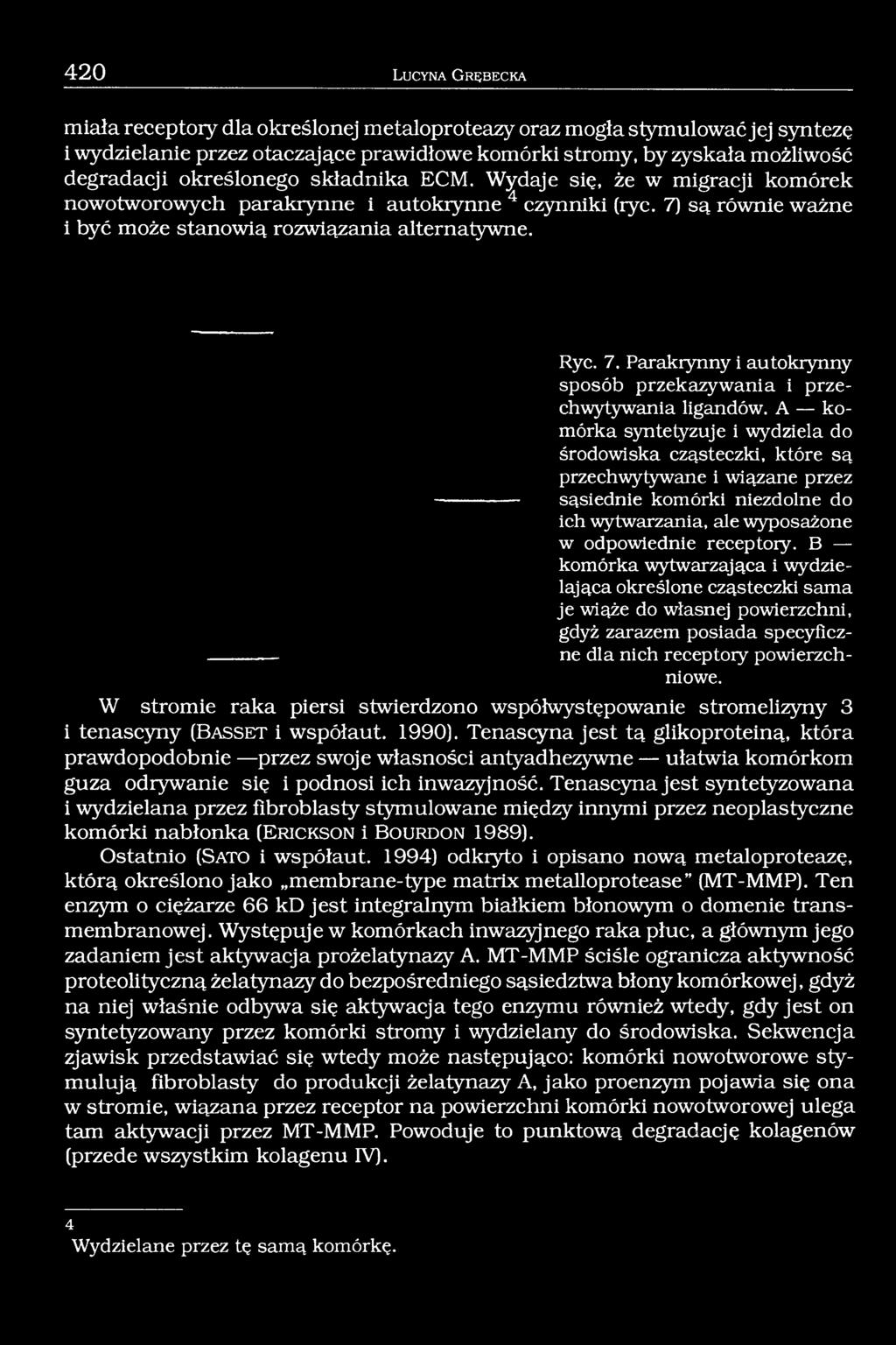 są równie ważne i być może stanowią rozwiązania alternatywne. Ryc. 7. Parakiynny i autokiynny sposób przekazyw ania i przechwytywania ligandów.