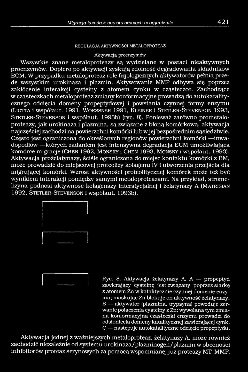 Aktywowanie MMP odbywa się poprzez zakłócenie interakcji cysteiny z atomem cynku w cząsteczce.