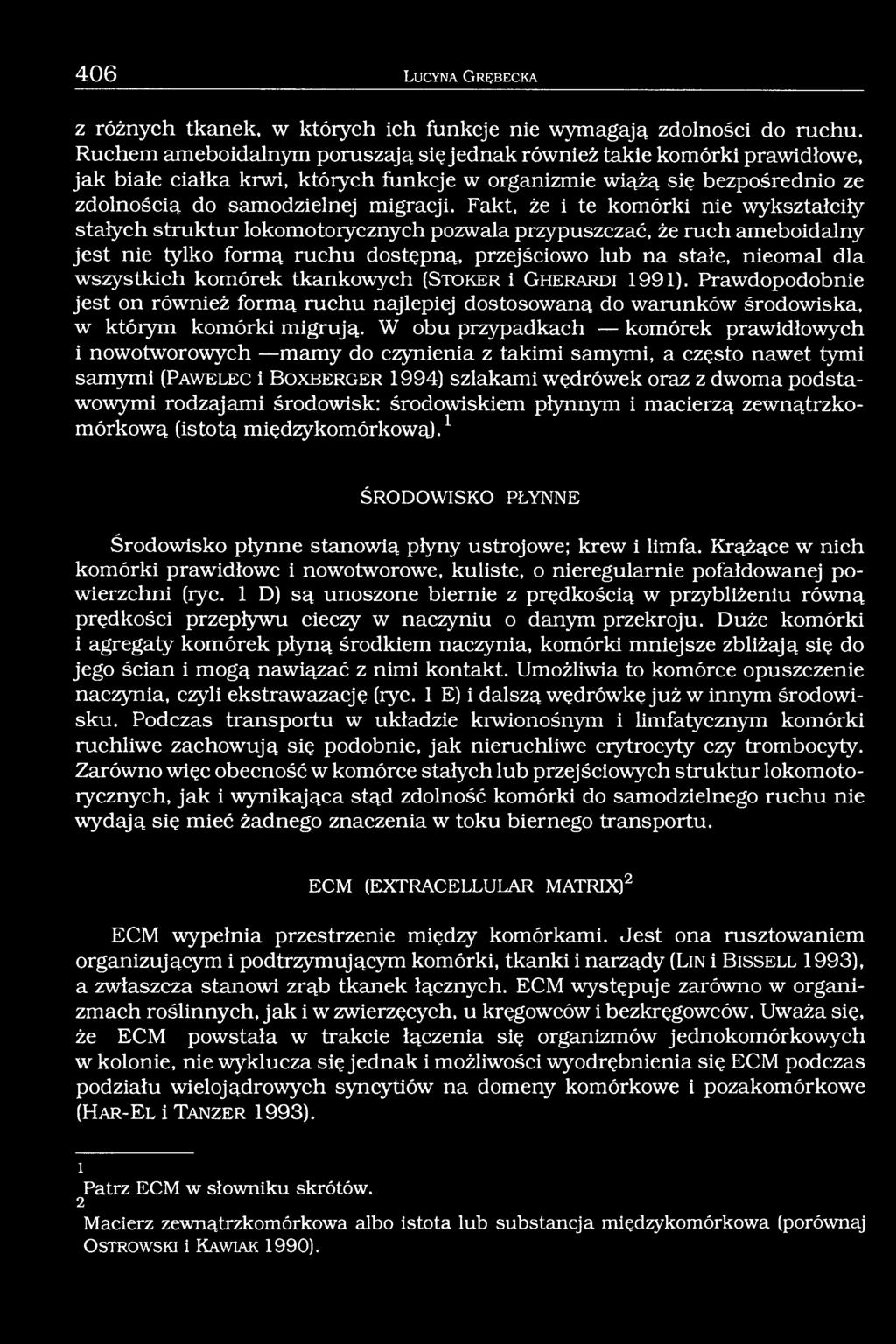 Fakt, że i te komórki nie wykształciły stałych struktur lokomotorycznych pozwala przypuszczać, że ruch ameboidalny jest nie tylko formą ruchu dostępną, przejściowo lub na stałe, nieomal dla
