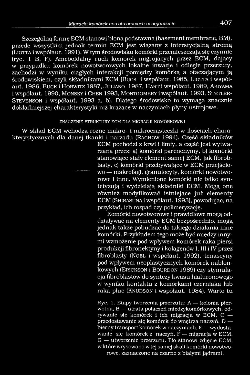 Ameboidalny ruch komórek migrujących przez ECM, dający w przypadku komórek nowotworowych lokalne inwazje i odległe przerzuty, zachodzi w wyniku ciągłych interakcji pomiędzy komórką a otaczającym ją