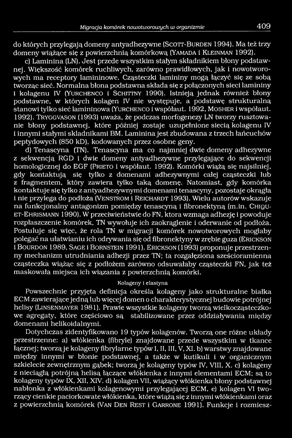 Większość komórek ruchliwych, zarówno prawidłowych, jak i nowotworowych ma receptoiy lamininowe. Cząsteczki lamininy mogą łączyć się ze sobą tworząc sieć.