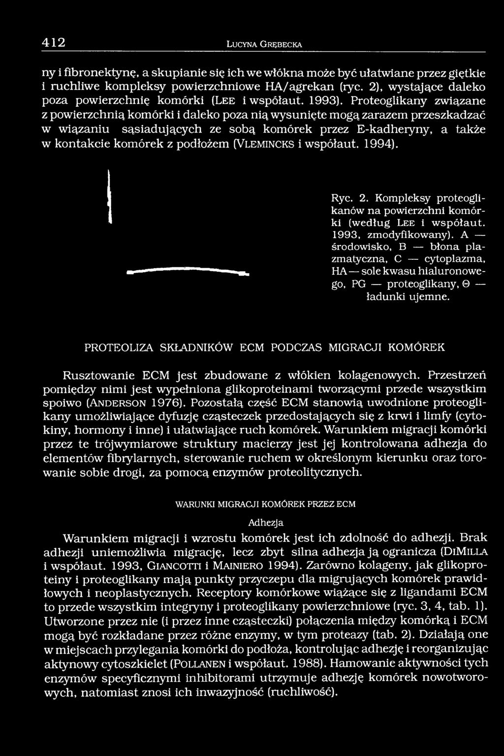 Proteoglikany związane z powierzchnią komórki i daleko poza nią wysunięte mogą zarazem przeszkadzać w wiązaniu sąsiadujących ze sobą komórek przez E-kadheiyny, a także w kontakcie komórek z podłożem