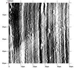 3-2016 T R I B O L O G I A 155 made of two types of steel (Figure 2) subjected to grinding to achieve similar surface smoothness and a repeatable shape, with the height