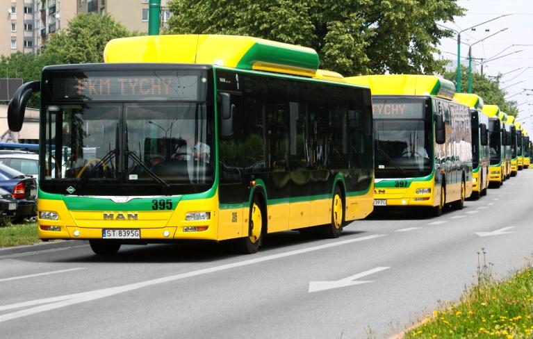 36 autobusów Man