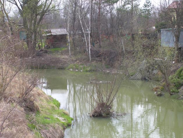 stanu z uwagi na umiarkowany potencjał ekologiczny, umiarkowany potencjał ekologiczny w obszarze chronionym oraz niespełnione wymagania dodatkowe określone dla obszaru chronionego. Rys. 2.12.