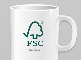 PRZECIWWSKAZANIA Drewno nieposiadające certyfikatu FSC X X X 10 Nie wolno używać logo FSC ani znaków Forests For All