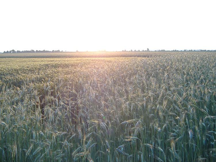 Udało się, co poczytuję za sukces, praktycznie bezboleśnie przygotować naszą gminną sieć szkół do nowego systemu zreformowanej oświaty.