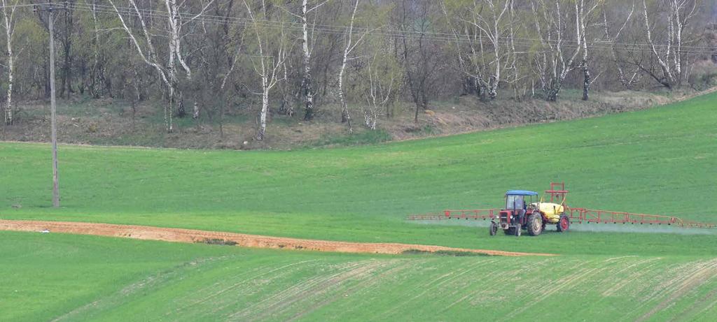 Zmniejszają straty wody z gleby średnio o