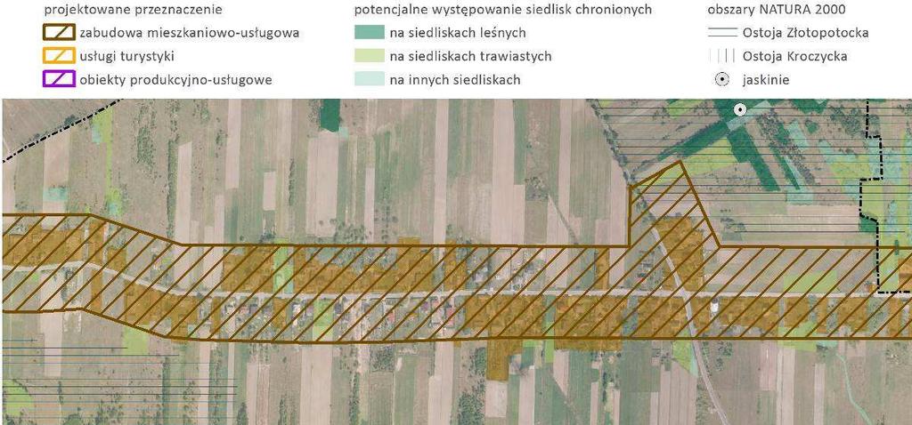 Rysunek 24 Lokalizacja terenów inwestycyjnych na tle szaty roślinnej Gorzków Nowy źródło: opracowanie własne na podstawie SWDE, ortofotomapy i danych GDOŚ Gorzków Stary W Gorzkowie Starym, podobnie