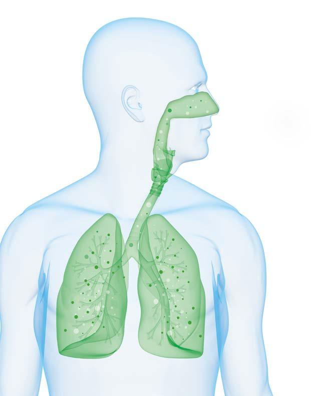 alergenów, pyłu, często zarazków, pleśni, brzydkich zapachów.