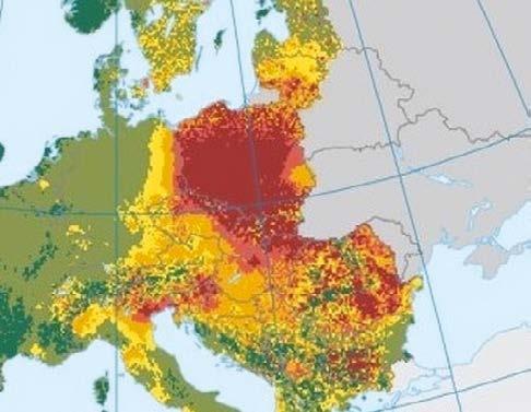 Powietrze w Polsce jest naprawdę złe... Szacuje się, że z powodu chorób wywołanych zanieczysz czonym powietrzem rocznie umiera 45 000 osób.