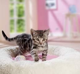 Kitten Miękkie i przytulne, z wyjmowaną, dwustronną poduszką.
