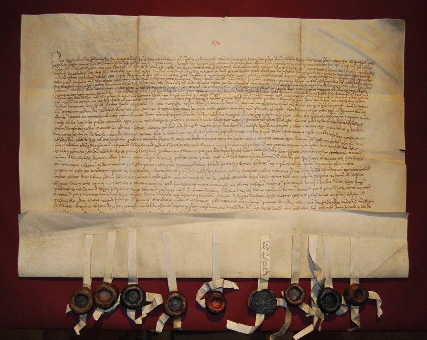 Peter Žarnovský Vybrané kapitoly z dejín Starej Ľubovne. Stará Ľubovňa v 16. storočí Peter Žarnovský pracuje ako historik pre staršie dejiny v Ľubovnianskom múzeu hrade v Starej Ľubovni.