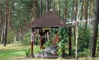 W miejscu dawnego pożarzyska dzisiaj rośnie już dorodny las, który można podziwiać z wieży widokowej przy drodze Potrzebowice- Miały.