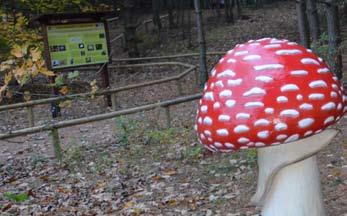 Największym sukcesem gminy w ostatnim okresie jest pierwszy w Polsce Park Grzybowy w Piłce, oddany do użytku w czerwcu 2013r., zlokalizowany na obszarze ok.