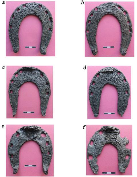 Archeologia lasów. Nadzór archeologiczny na terenie Nadleśnictwa Przemków 155 Ryc. 6.