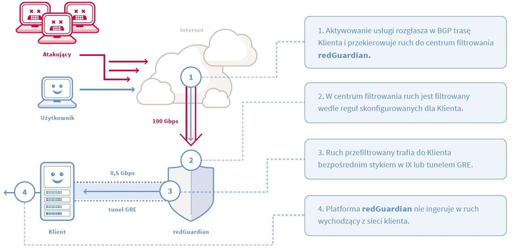 redguardian autorskie rozwiazanie anty DDoS Usługa działająca w chmurze Niezależna od operatora