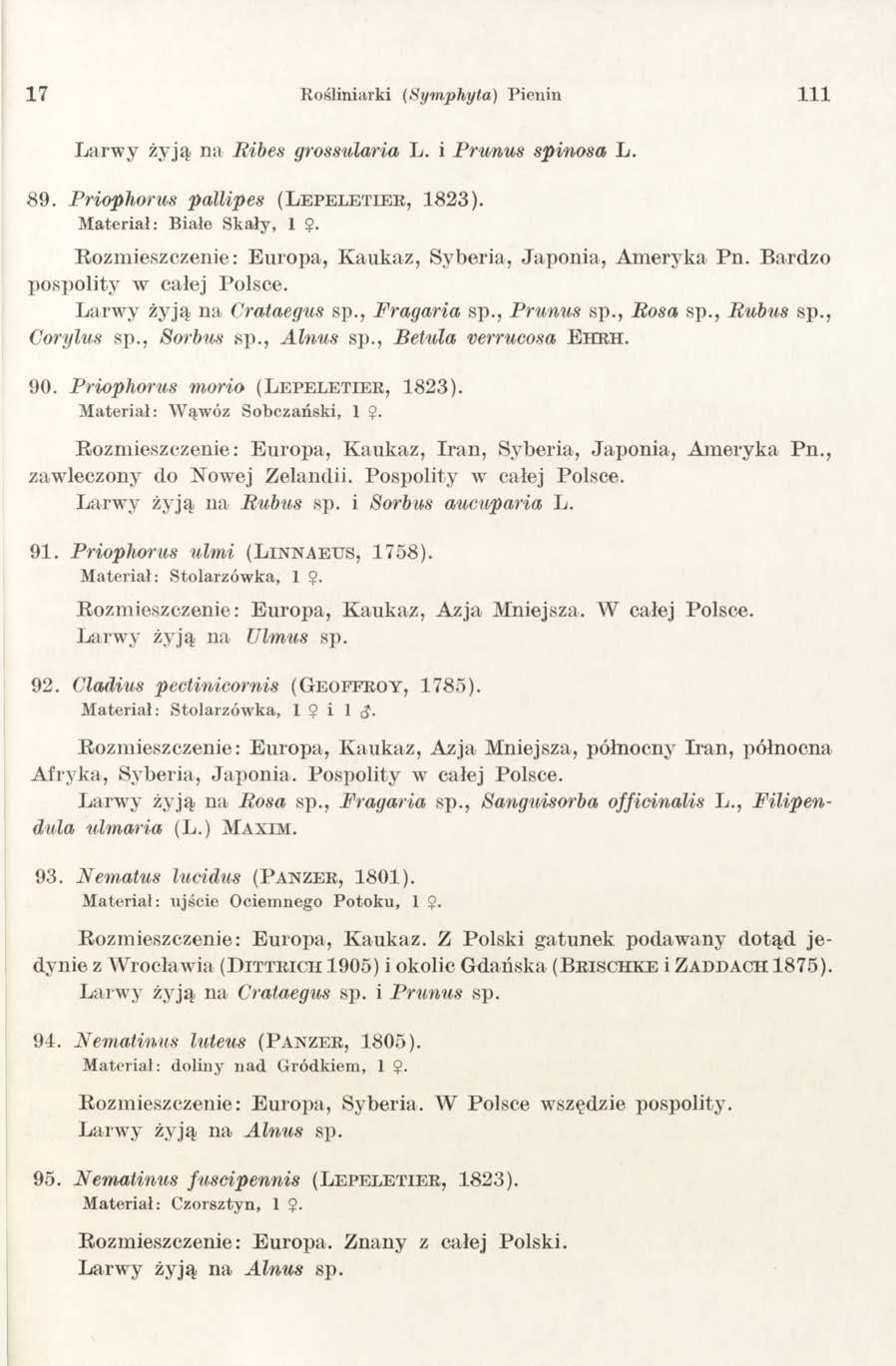 17 Rośliniarki (Symphyta) Pienin 111 Larwy żyją na Ribes grossularia L. i Prunus spinosa L. 8 9. Priophorus pallipes (L e p e l e t i e r, 1 8 2 3 ). Materiał: Białe Skały, 1 $.